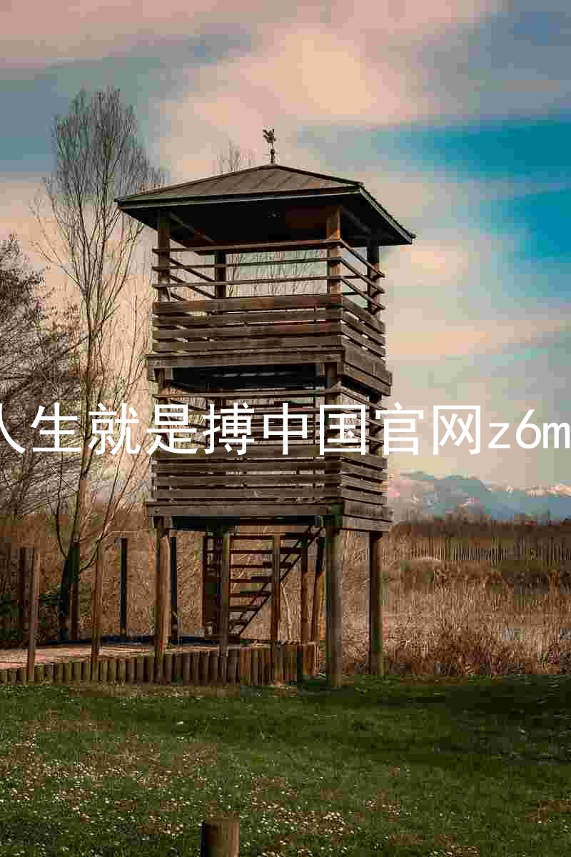 人生就是搏中国官网z6mg