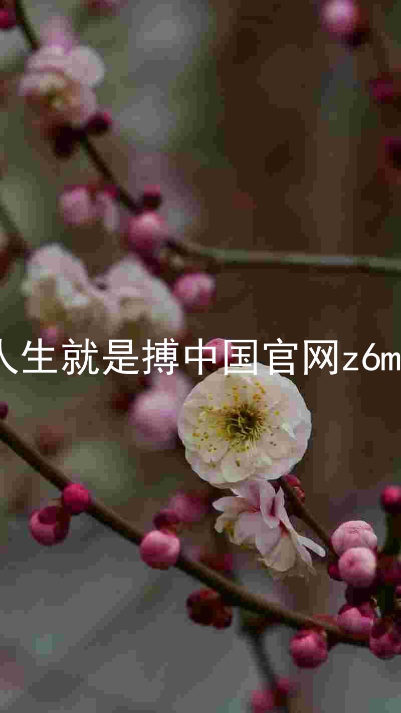 人生就是搏中国官网z6mg