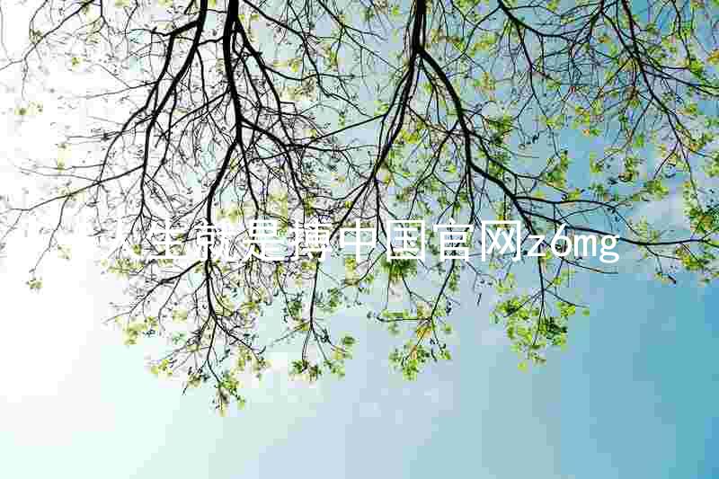 人生就是搏中国官网z6mg