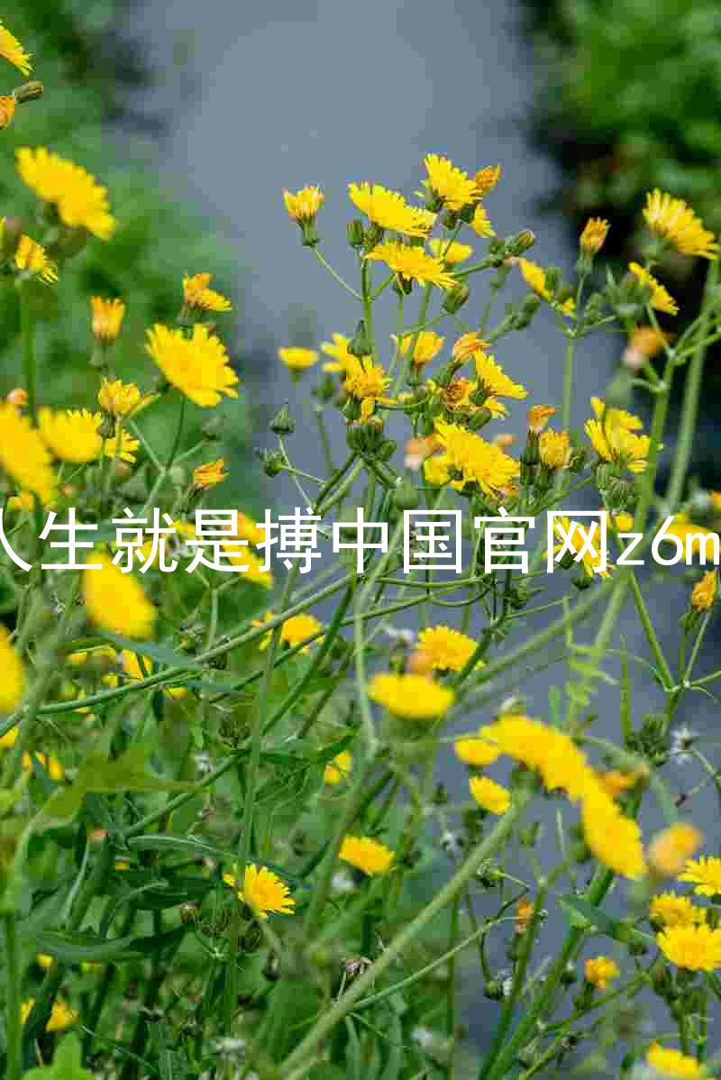 人生就是搏中国官网z6mg
