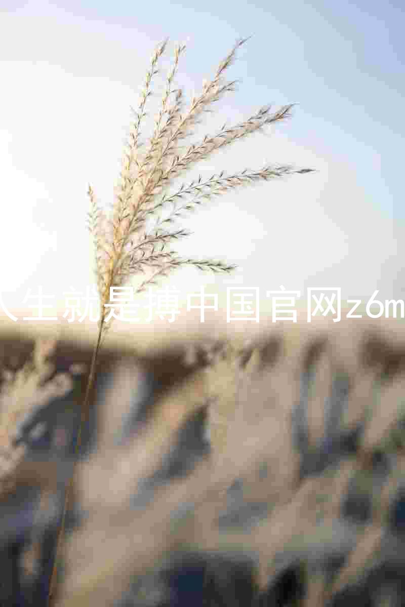 人生就是搏中国官网z6mg
